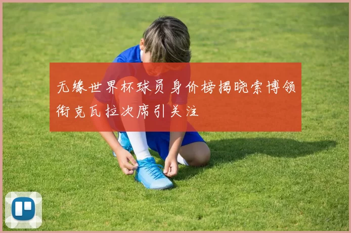 无缘世界杯球员身价榜揭晓索博领衔克瓦拉次席引关注