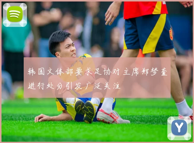 韩国文体部要求足协对主席郑梦奎进行处分引发广泛关注