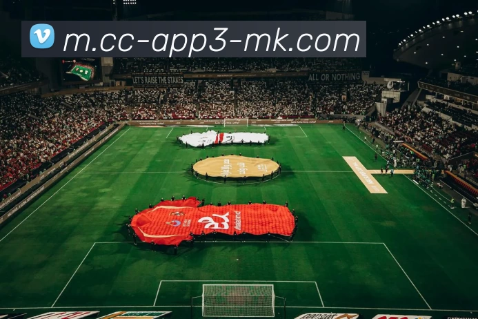 App 展示图